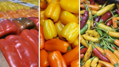 Buenas noticias : informan que hay gran oferta de pimiento