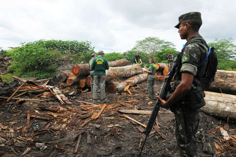 Brasil ataca la tala ilegal en grandes redadas en la Amazonia