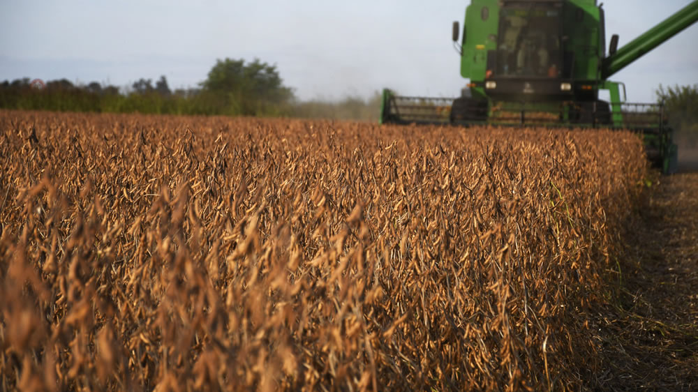 El agro argentino se planta ante la normativa antideforestación de la UE: "Vulnera nuestra soberanía"