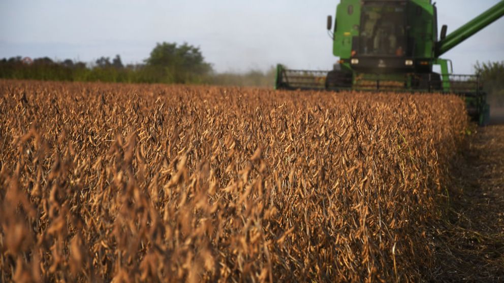 El agro argentino se planta ante la normativa antideforestacin de la UE: "Vulnera nuestra soberana"