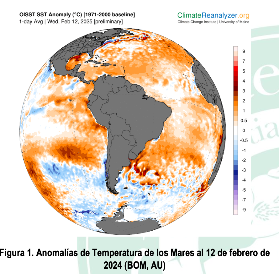 Las lluvias reactivan la zona núcleo sojera: ¿cómo afecta la perspectiva agroclimática 2025?
