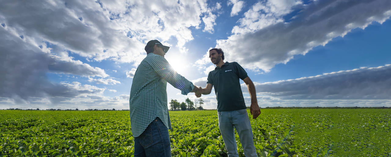 Los créditos en dólares se consolidan en el agro: más de la mitad de los préstamos son en moneda estadounidense