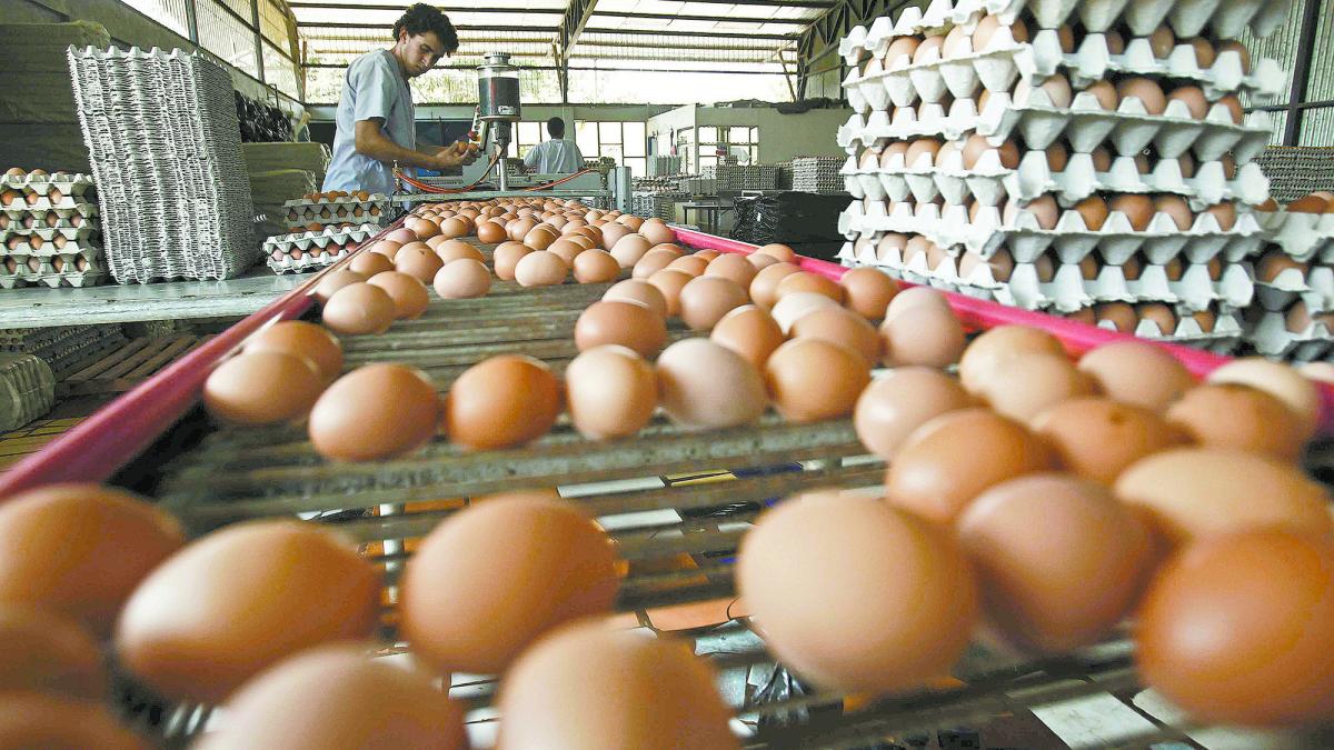 La "crisis del huevo" se traslada a la Unión Europea  