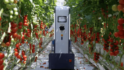 TTA-ISO presenta un robot de cosecha de tomates totalmente automatizado