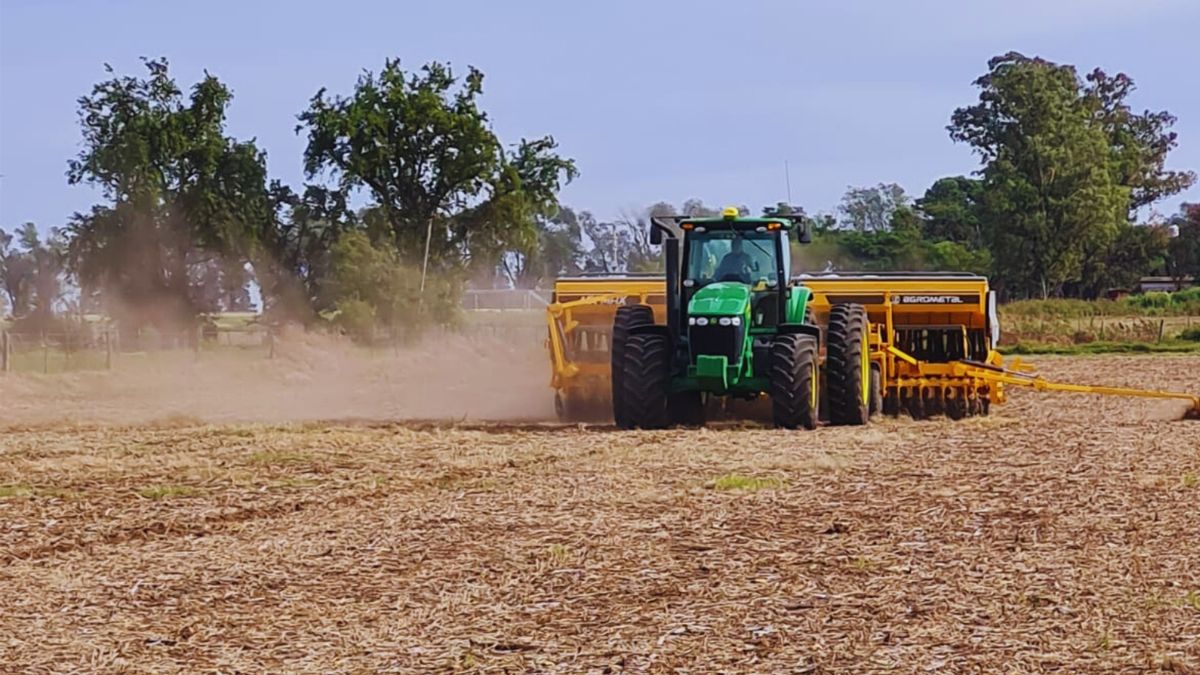 La industria de la siembra de precisión crece con nuevas soluciones para sembradoras en Argentina