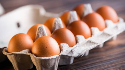 Administración de Trump anuncia un plan de mil millones de dólares para combatir la gripe aviar y el aumento de los precios de los huevos