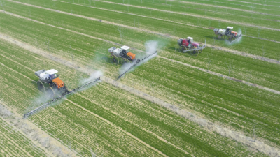 China refuerza su seguridad alimentaria y eleva su objetivo de producción de granos en 2025