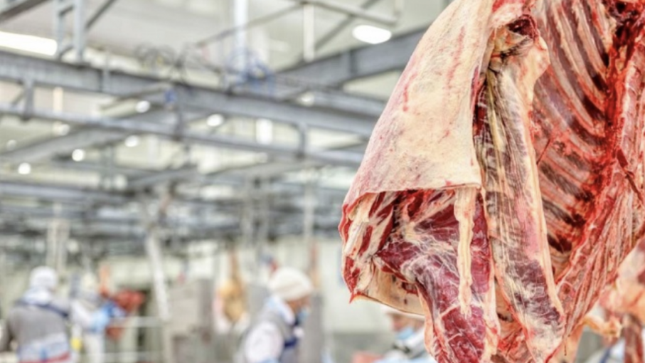 Paraguay se posiciona en el mercado global de carne con fuerte demanda en Medio Oriente y Asia