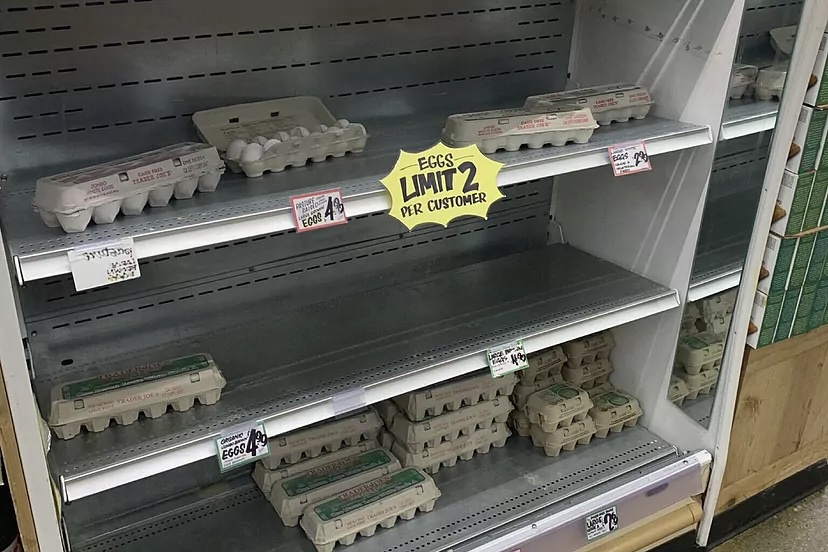 Escalada en los precios de los huevos intensifica la crisis alimentaria en EE.UU.