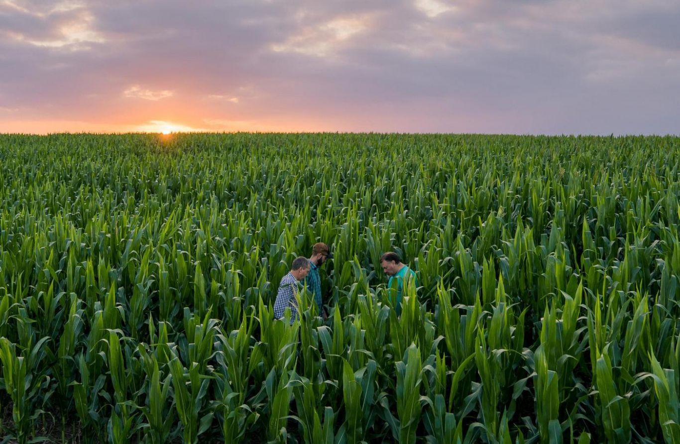 Supra Semillas se presenta en Expoagro 2025 con innovación genética y cercanía con el productor