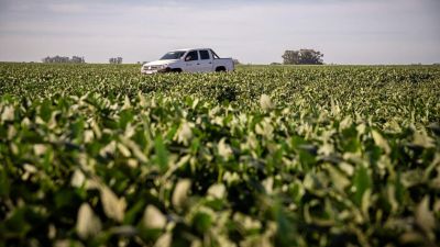 DONMARIO apuesta a la innovación y cercanía con el productor en Expoagro 2025