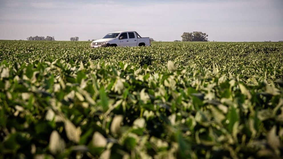 DONMARIO apuesta a la innovacin y cercana con el productor en Expoagro 2025