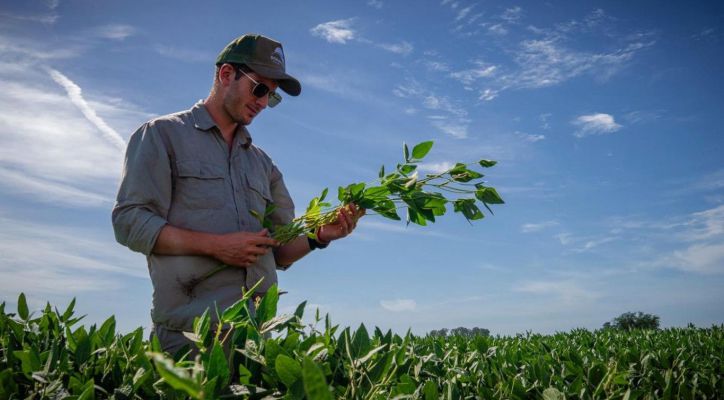 DONMARIO apuesta a la innovación y cercanía con el productor en Expoagro 2025