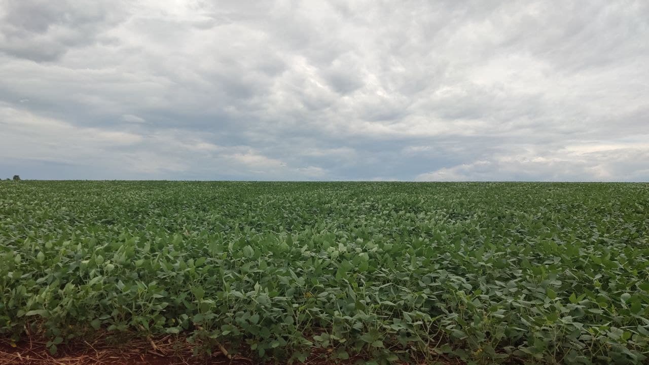 Lluvias y temperaturas: ¿cómo será la tendencia climática para mayo, junio y julio en distritos bonaerenses?
