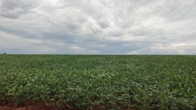 Perspectiva agroclimática: tras La Niña, ¿llega 'El Niño' para el agro argentino?