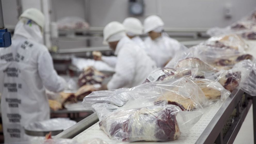 "Alza del 25% en exportaciones agroindustriales durante 2025"