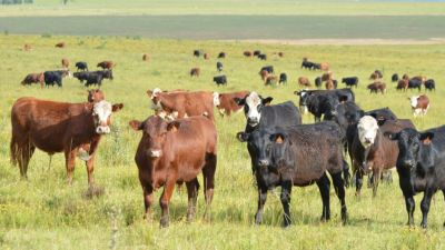 Tensión y oportunidades en el mercado global de carnes 