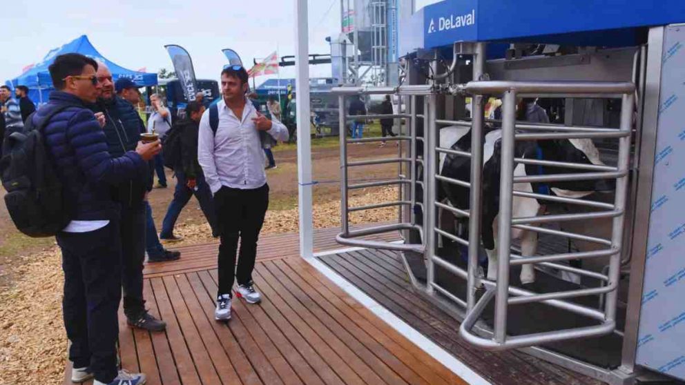 En la Argentina, hay ms de 400 tambos robotizados en funcionamiento