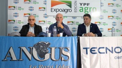 Ganadería 2025: desafíos y oportunidades en un año clave para la economía argentina