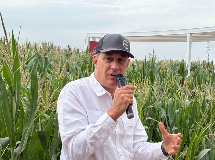 Maximiliano Cueto. Líder de producto para maíz y protección de cultivos de Bayer