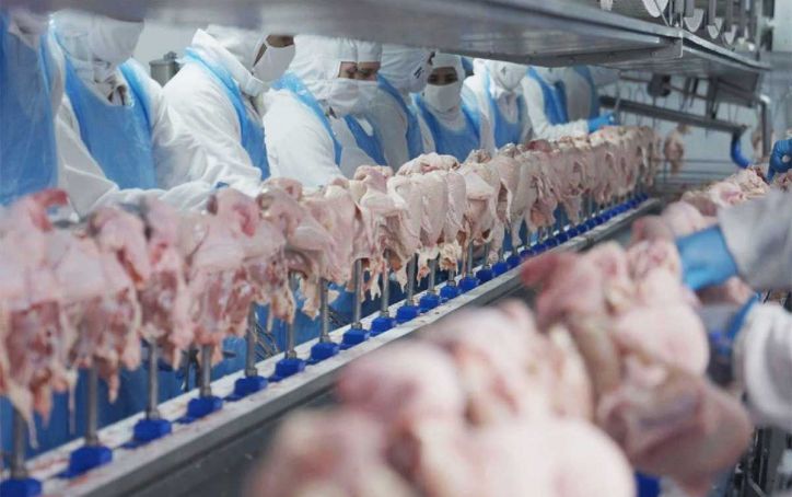 Paraguay avanza en la apertura del mercado de Singapur para su carne bovina, porcina y aviar