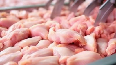 Carne aviar argentina: entre la madurez del consumo interno y la oportunidad exportadora