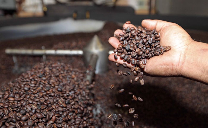 Histórico aumento en el precio del café: impacto global y desafíos para la producción