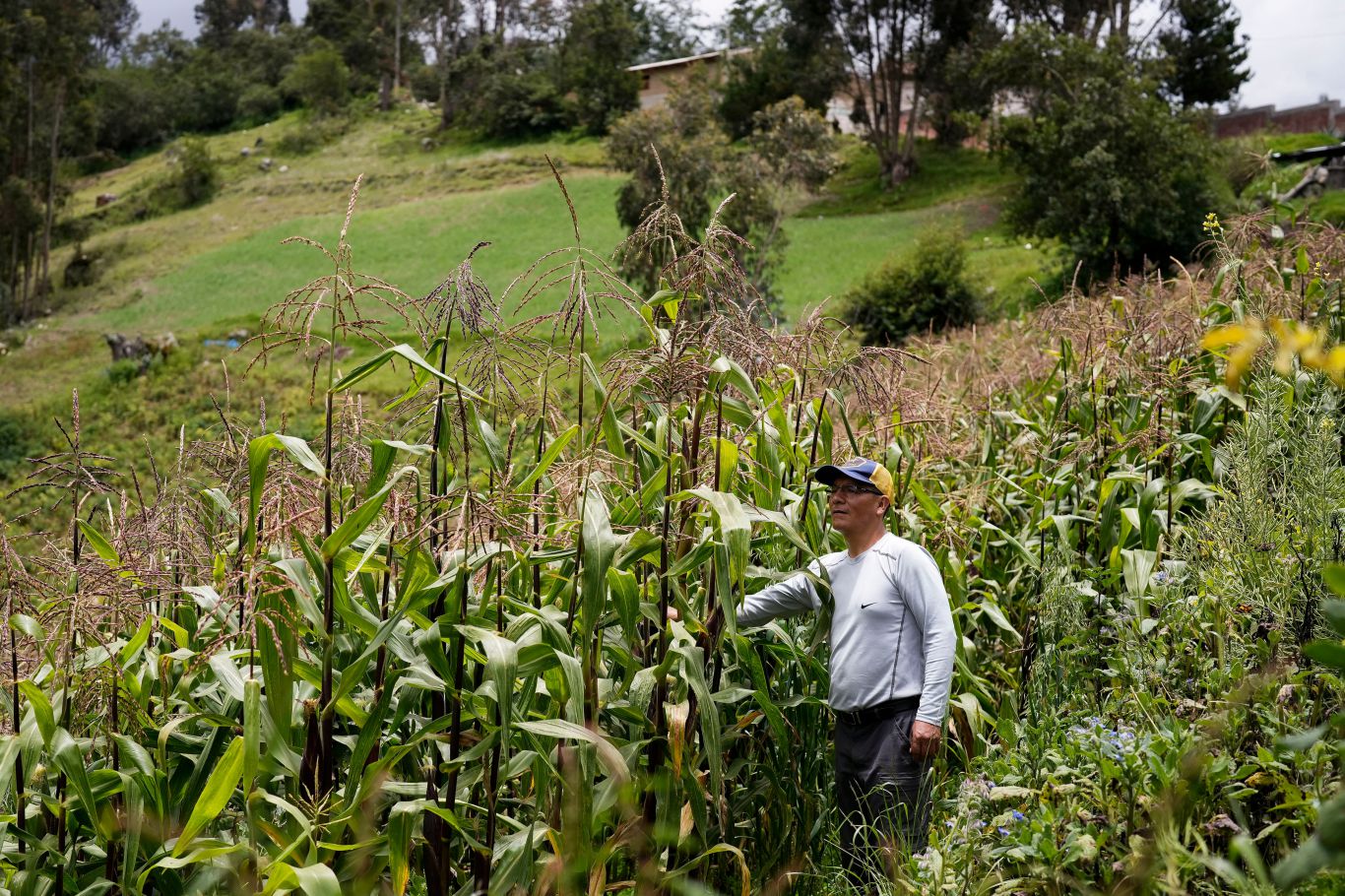 Demanda histórica en Alemania: un agricultor peruano exige responsabilidad climática a RWE