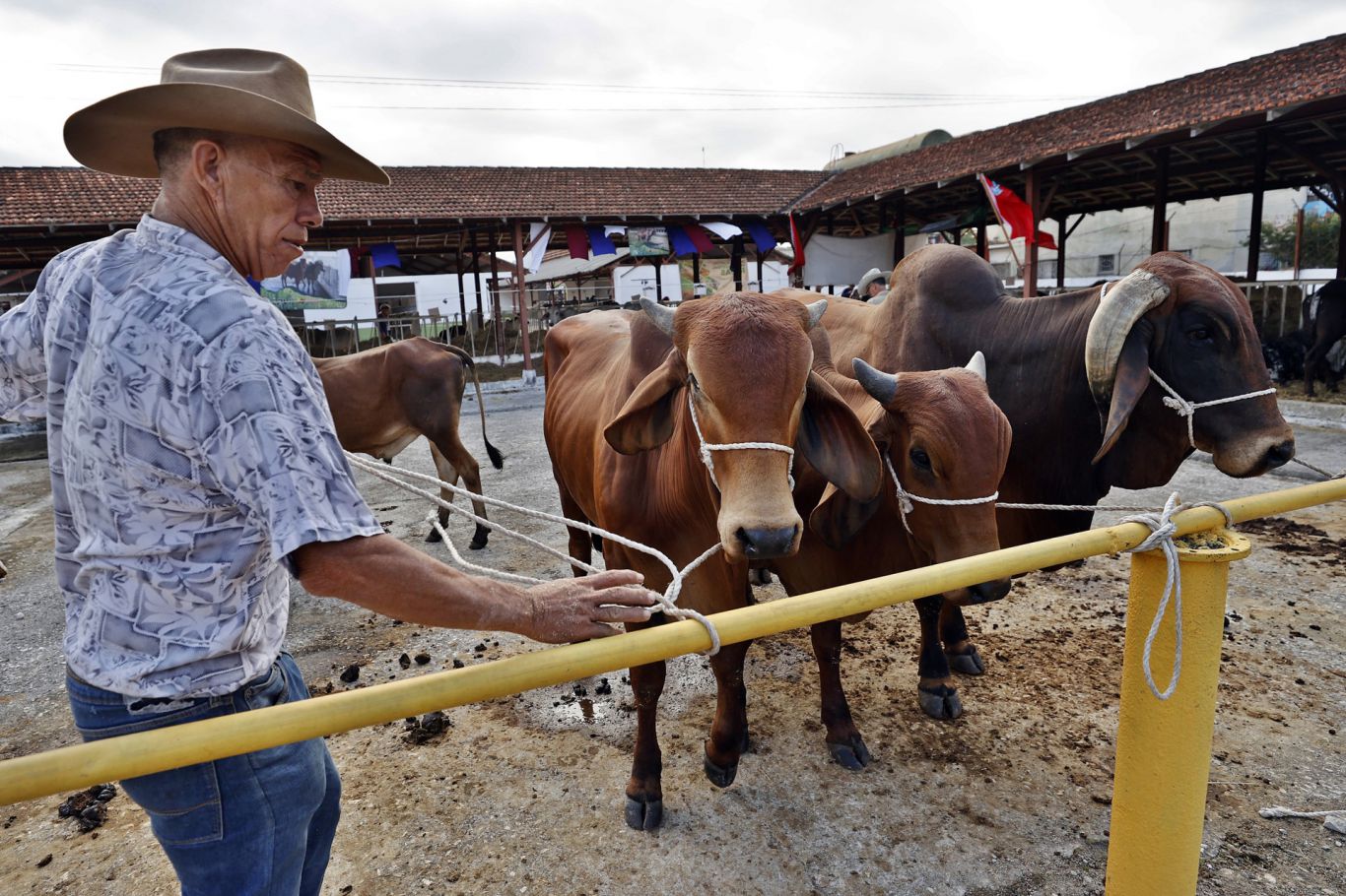 Cuba apuesta por la inversión extranjera en su mayor feria agroindustrial