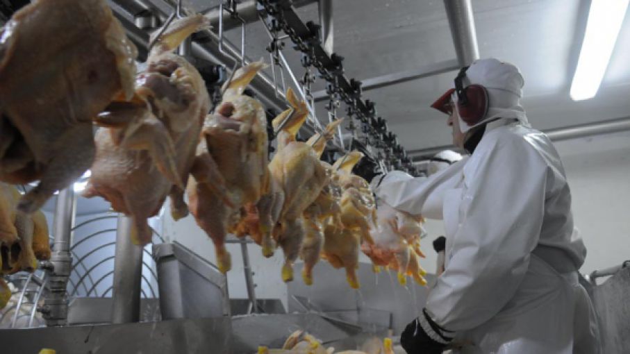 Argentina retoma exportaciones de carne aviar a china y amplía su oferta agroindustrial