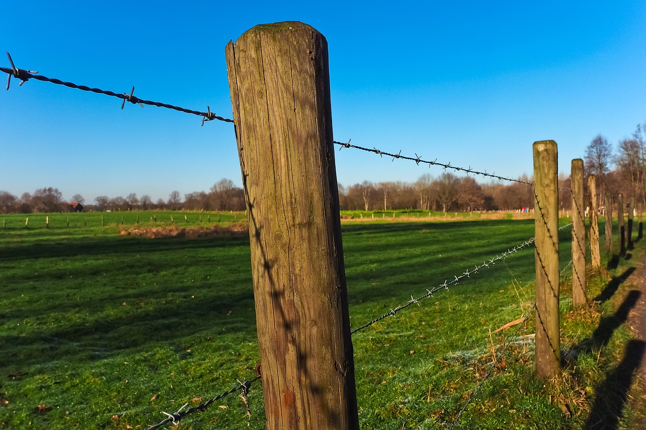 Bajó el costo del alambrado rural: cuánto cuesta hacer 1000 metros en 2025
