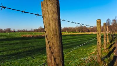 Bajó el costo del alambrado rural: cuánto cuesta hacer 1000 metros en 2025