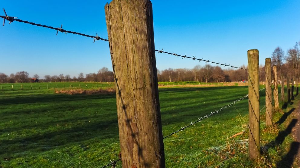 Baj el costo del alambrado rural: cunto cuesta hacer 1000 metros en 2025