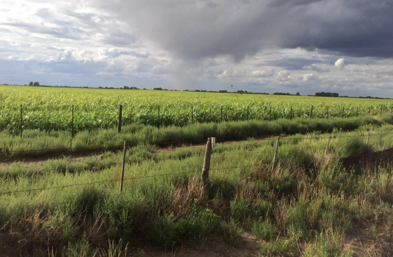 Finde largo con sabor a otoño: tormentas, alertas y un bajón de temperatura en 14 provincias