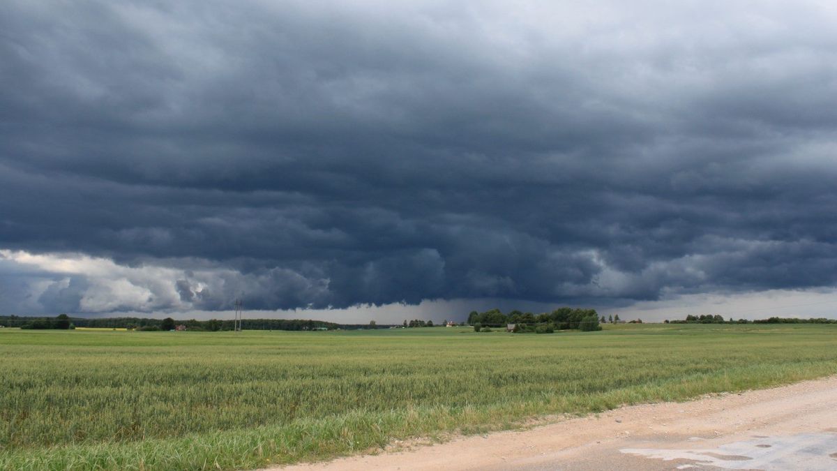 Cómo afectan a la cosecha las fuertes lluvias en la región núcleo