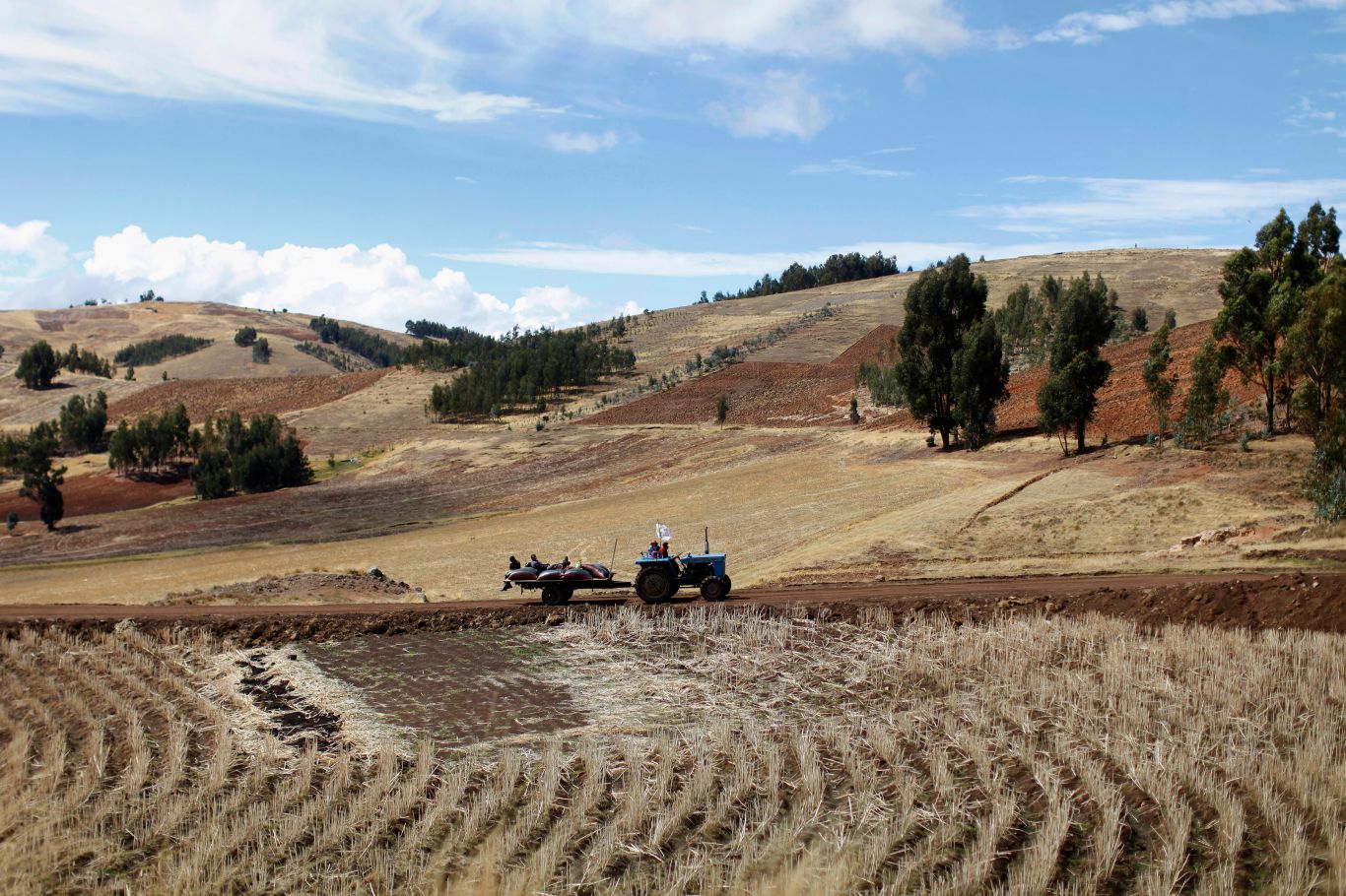 Perú apuesta fuerte al agro: un megaplán de riego busca transformar el mapa productivo