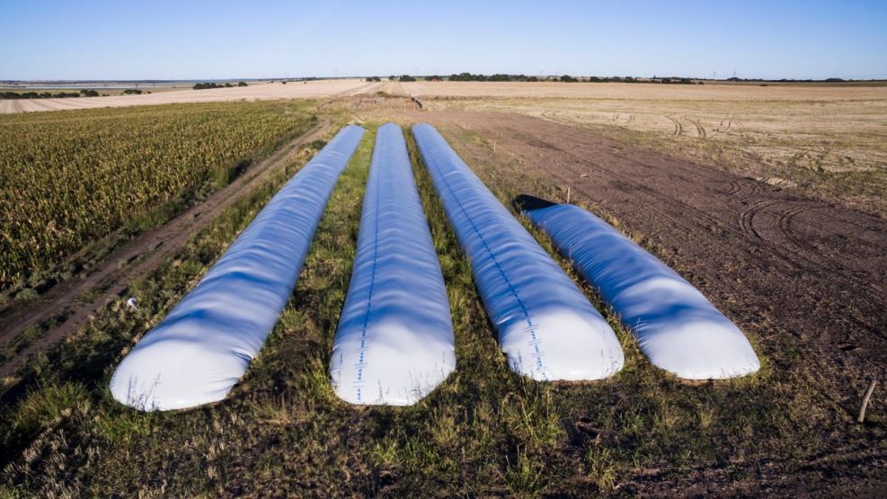 El agro levanta el pie del acelerador: incertidumbre cambiaria frena liquidaciones pero se espera un repunte en abril