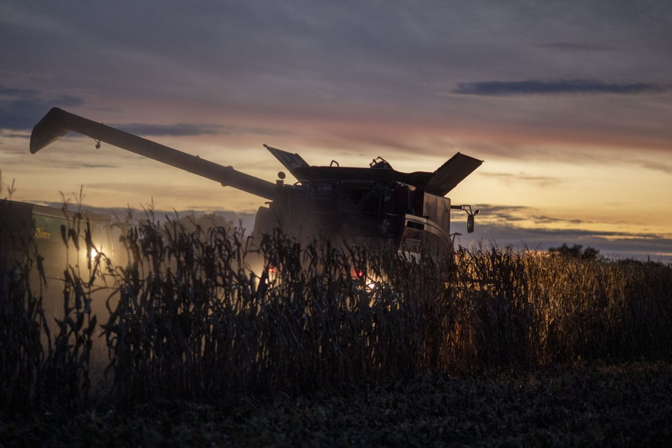 Se encienden las alertas: economistas advierten que la agricultura estadounidense ya está en recesión