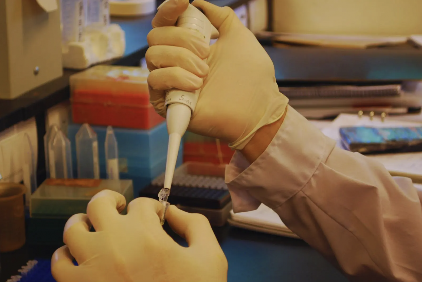 INTA: seis laboratorios obtienen acreditación internacional bajo la norma ISO 17025