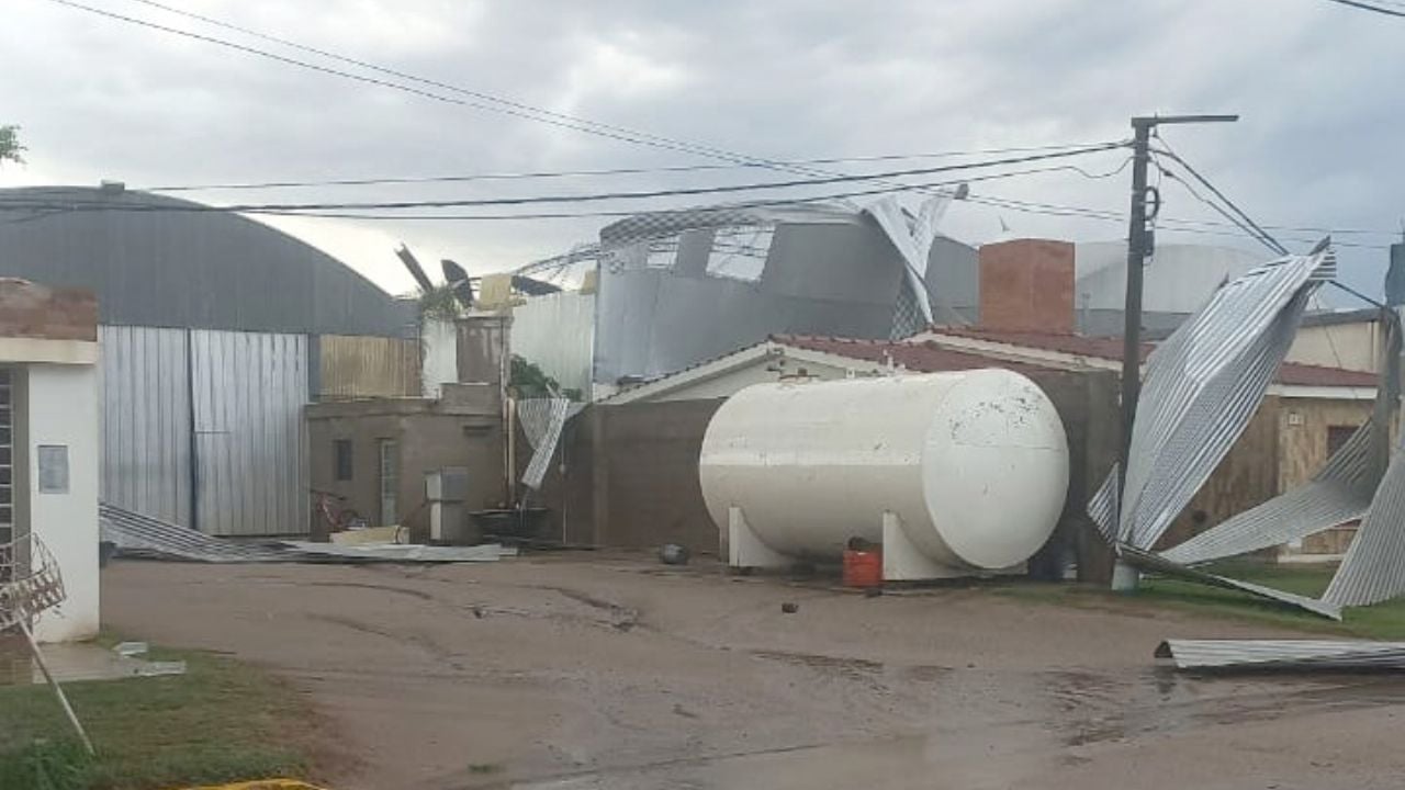 Devastación en el sudeste cordobés: una tormenta histórica destruyó cultivos a días de la cosecha