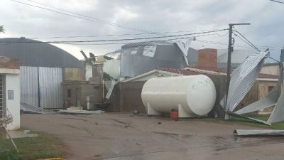 Devastación en el sudeste cordobés: una tormenta histórica destruyó cultivos a días de la cosecha