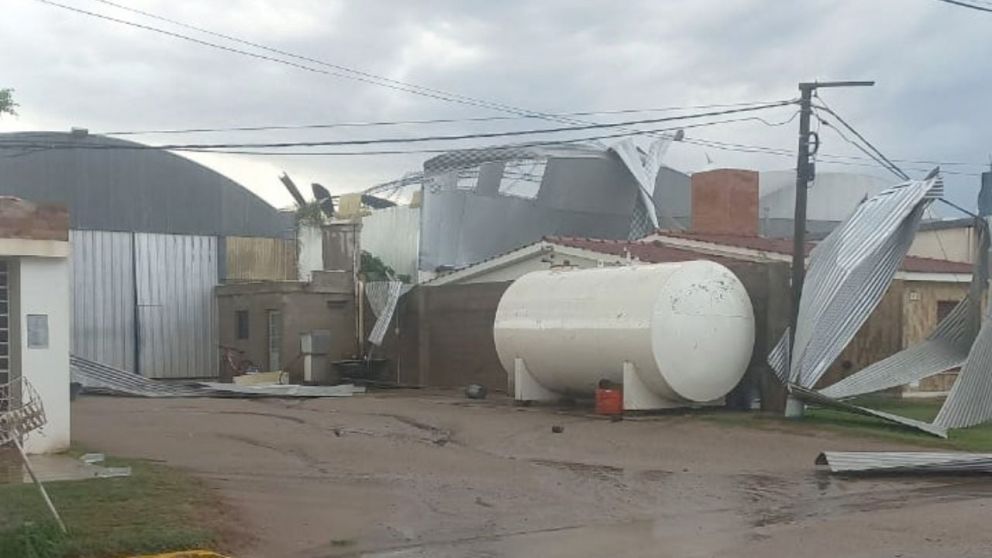 Devastacin en el sudeste cordobs: una tormenta histrica destruy cultivos a das de la cosecha