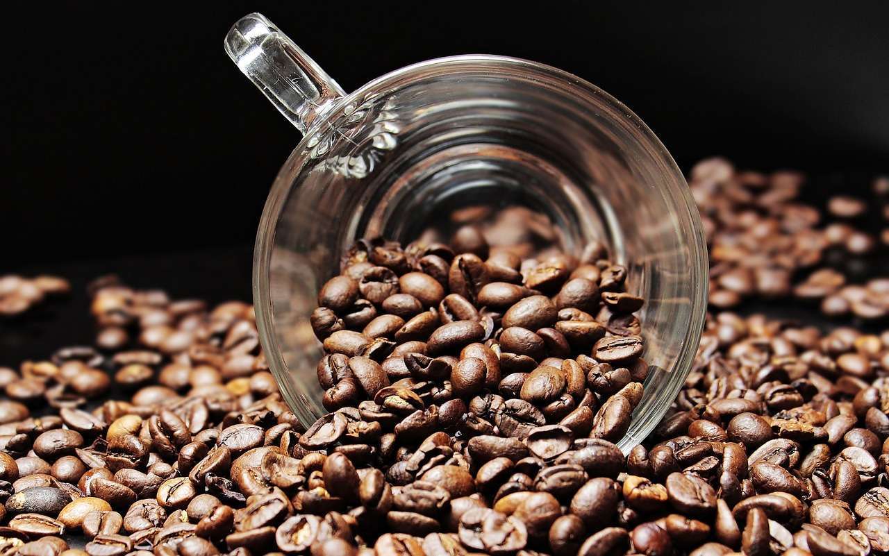 Las cinco olas del café hondureño: historia, evolución y una nueva cultura de consumo