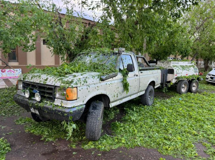 ¿En ruta hacia tu campo? Qué hacer si te sorprende una tormenta con granizo