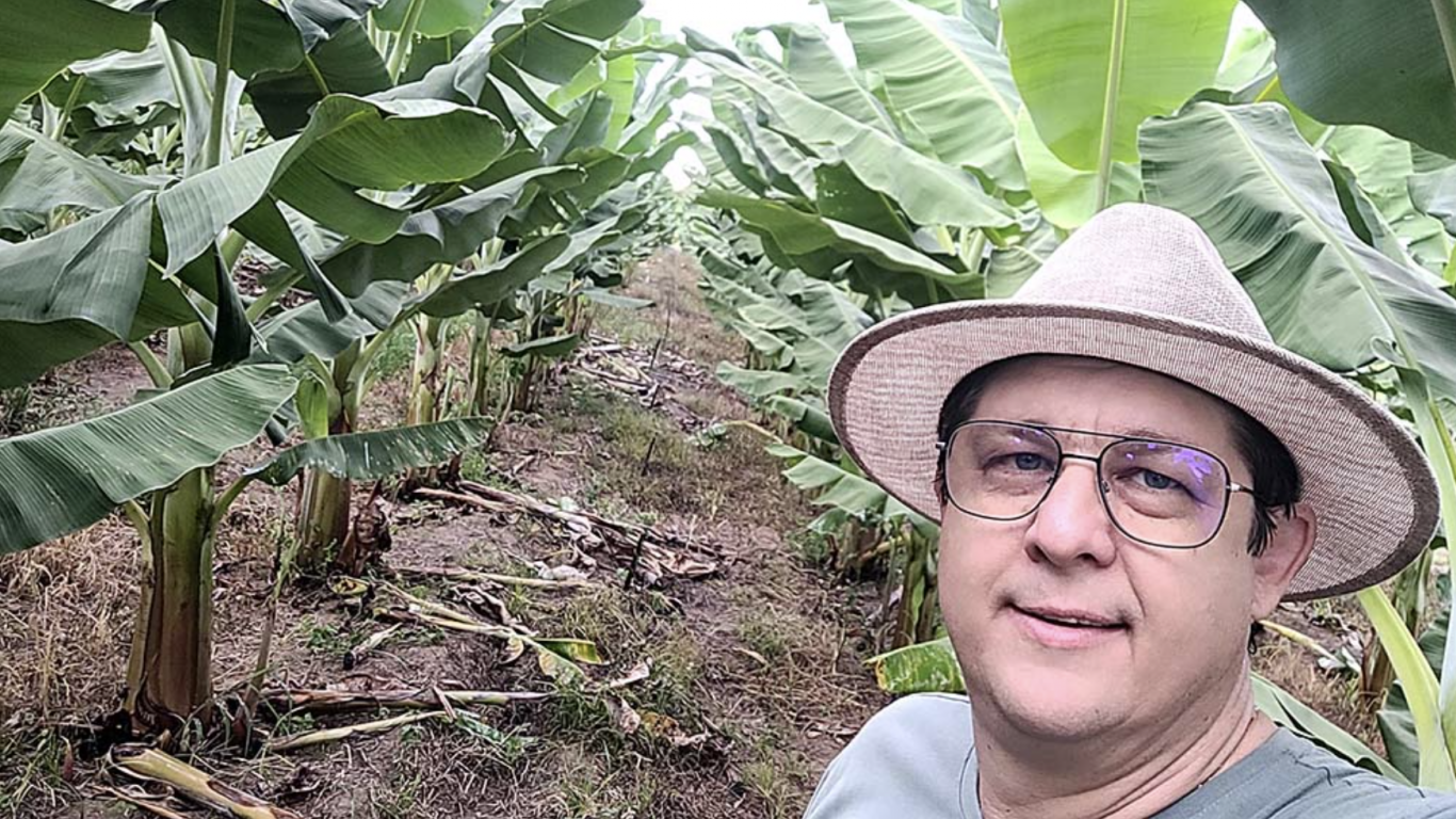El cambio climático golpea la producción de banana en América Latina: pérdidas podrían superar el 60%