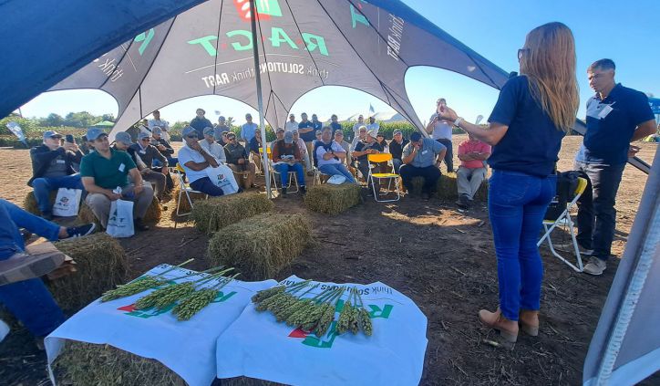 Expo RAGT 2025: El sorgo pisa fuerte con tecnología, rendimiento y precios que lo posicionan frente al maíz