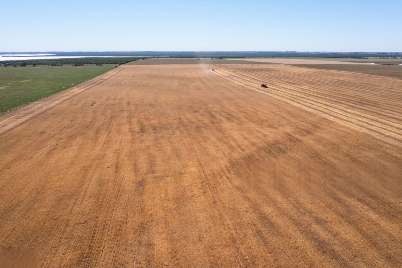 Soja en picada por aranceles de China a EE.UU., pero Argentina podría captar parte del negocio