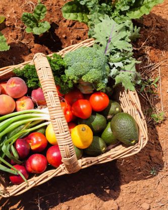 Del suelo a la salud humana: el Simposio FERTILIDAD 2025 propone una mirada integral sobre la nutrición