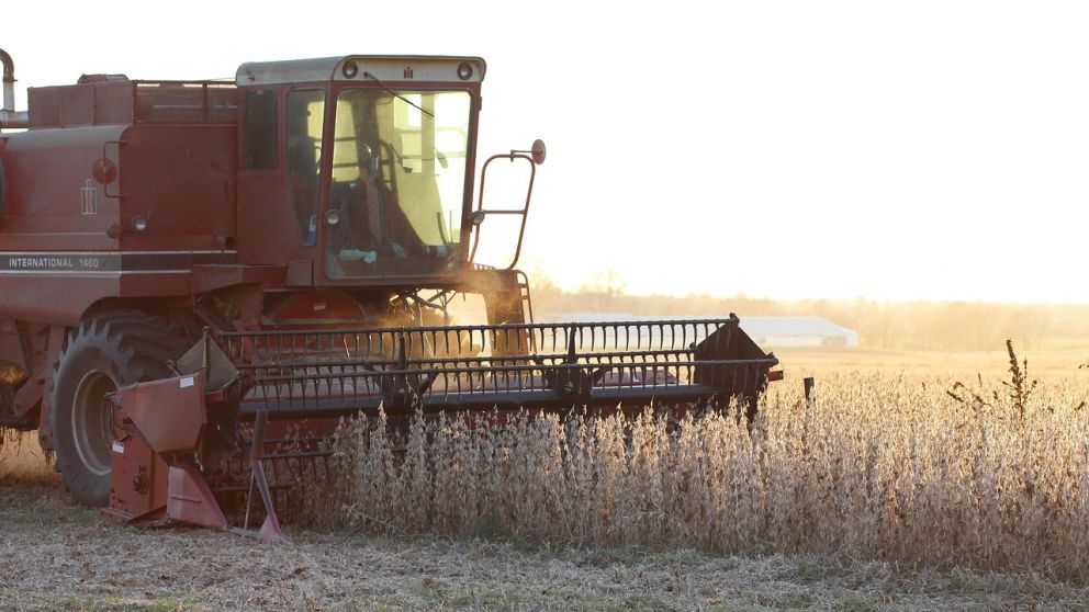 Sin cepo, pero sin suba: la soja cay casi 9% en dlares y los productores vendieron ms maz