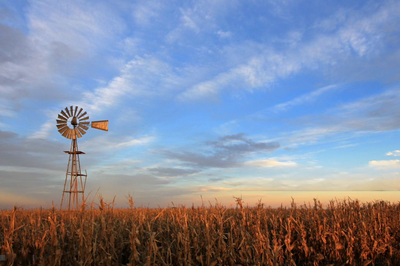 Maíz argentino: con una de las huellas de carbono más bajas del mundo, el agro nacional gana terreno en sostenibilidad